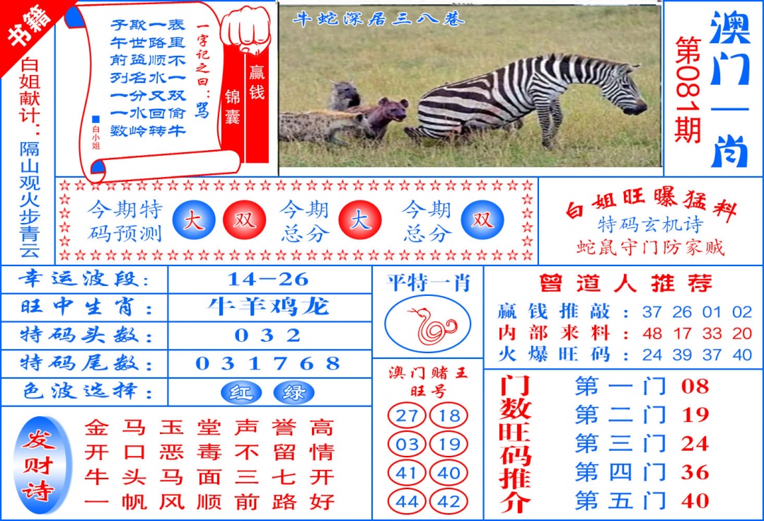 081期澳门东北虎[图]